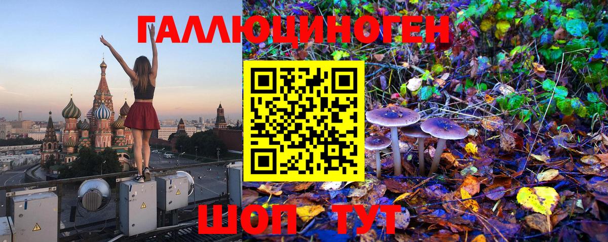 Псилоцибиновые грибы мицелий Знаменск