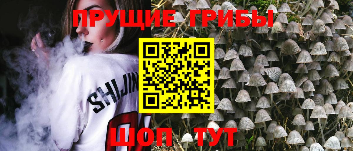 купить наркоту  Вход с VPN  Знаменск  Псилоцибиновые грибы Psilocybe  Псилоцибиновые грибы Psilocybe 